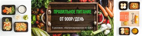 D-light | Доставка правильной еды в Москве | Бесплатная доставка на дом ...