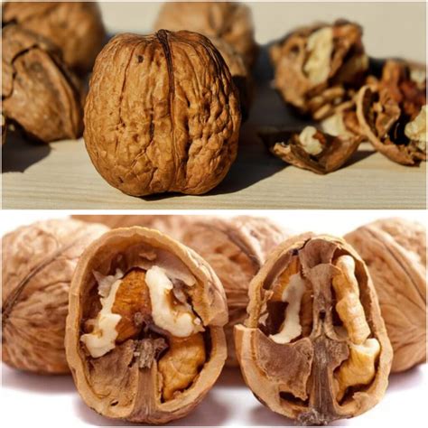 Aprende a decir "nuez" en inglés y otros nombres de frutos secos