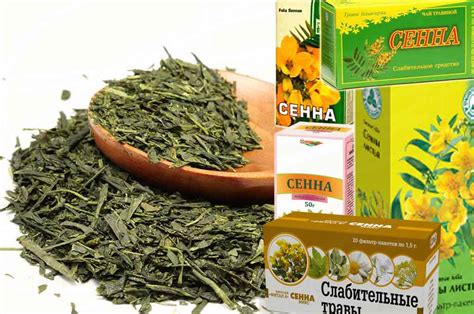 Сенна трава – от запора, для очищения кишечника, инструкция, рецепты ...