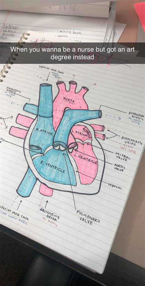 Taking my pre-reqs to qualify for accelerated nursing programs in 2020 ...