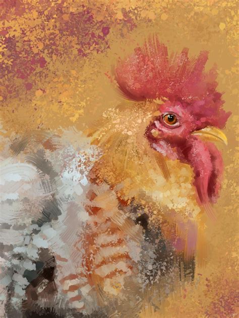 Chicken P Look Like