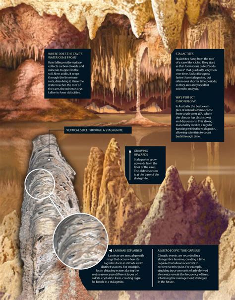 Microscopic layers of stalagmites provide clues to earlier climate ...