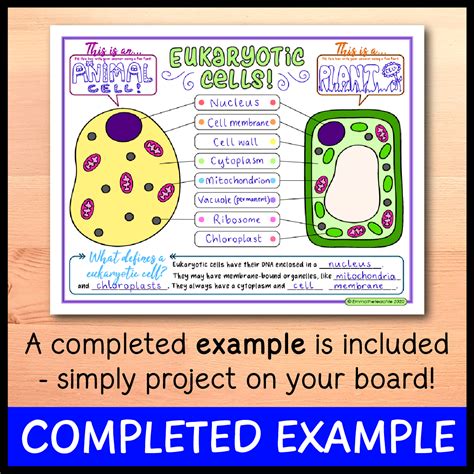 Prokaryotes Vs Eukaryotes Worksheet Prokaryotic And Eukaryotic Cells