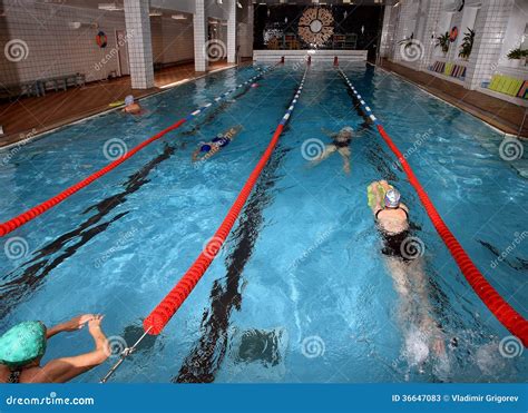 Interior Public Indoor Swimming Pool, Health Improving Swimming ...