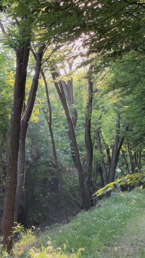 Russian+Xx+Video+Hd Videos, Download The BEST Free 4k Stock Video Footage & Russian+Xx+Video+Hd ...