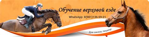 Обучение верховой езде в Сосново | Индивидуальные занятия по верховой ...