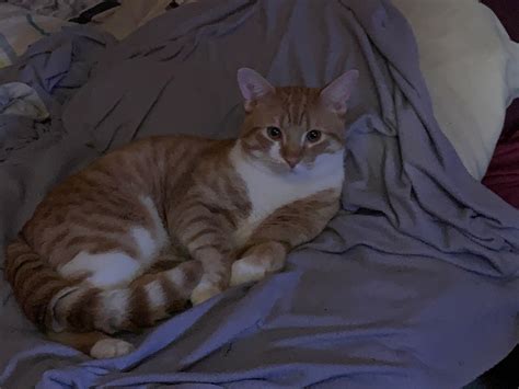 a gay roleplay community