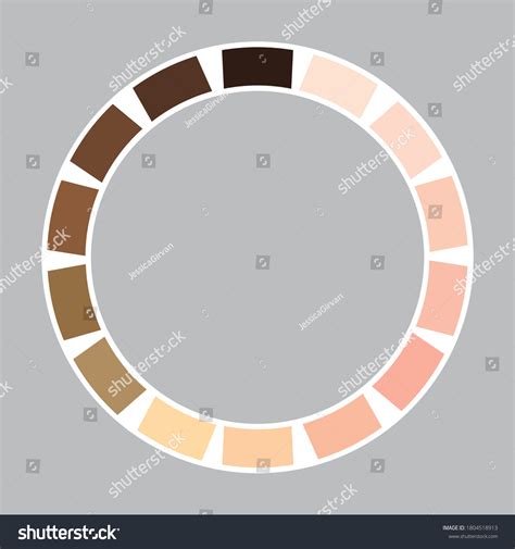 Skin Tone Colour Wheel Vector: เวกเตอร์สต็อก (ปลอดค่าลิขสิทธิ์) 1804518913