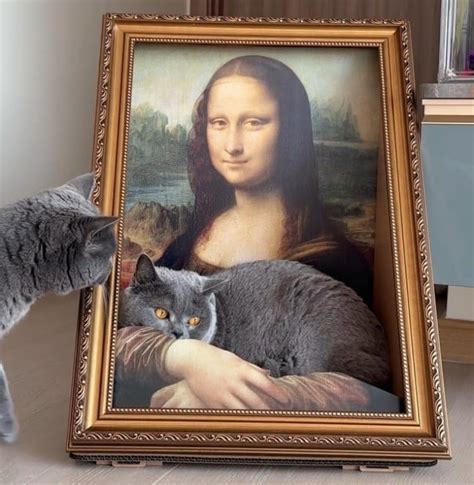 I Found the Best Cat Bed Ever and it Comes With Mona Lisa