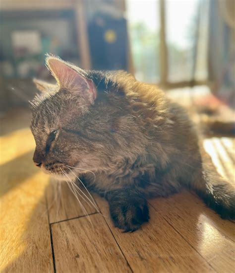 His ass is sitting there like he DIDN'T just puke on the floor | Fandom