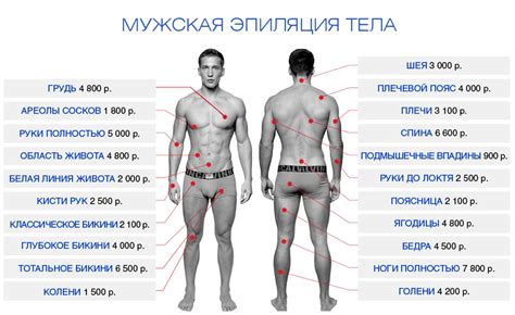 Лазерная эпиляция для мужчин - цена от 800р. В Москве. Стоимость ...