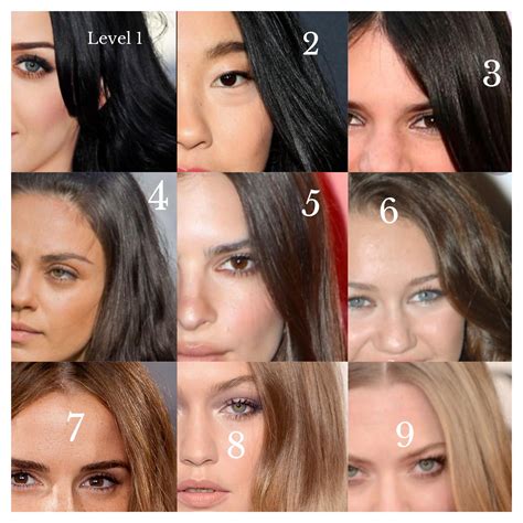 I made a chart of hair levels using female celebs for my friend because ...