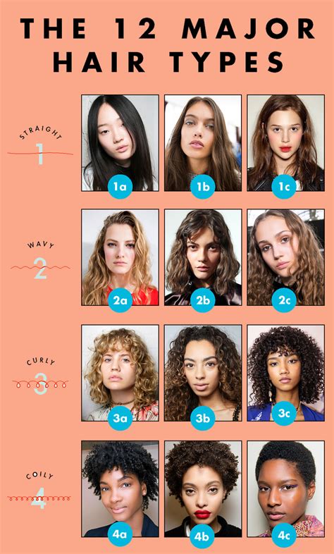 Hair Type Chart Quiz at Hannah Belisario blog
