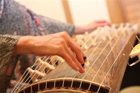 Asian stringed instrument - dopmetrix