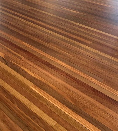 Red Spotted Gum