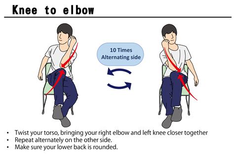 Sit-to-Stand Exercise | Physio Visuals: Illustrated Exercise ...