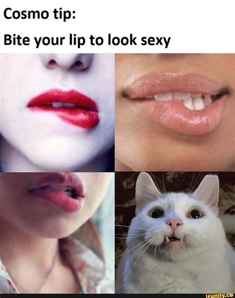 Sexy Biting Lip Meme