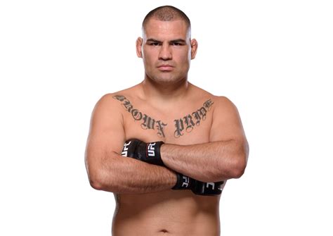 Cain Velasquez: Profile, Career Stats, Face/Heel Turns, Titles Won ...