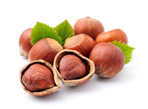 Premium Photo | Filbert nuts with leaves