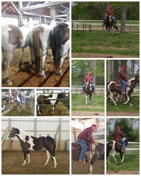 Ellie Mae · Copper Horse Crusade