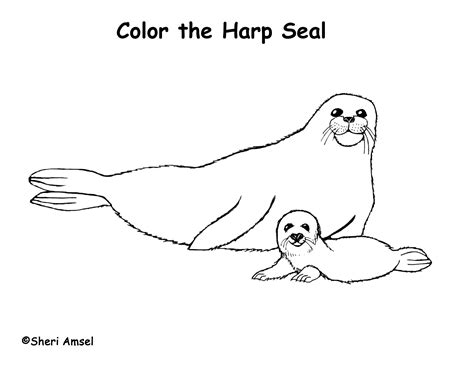 Cute Seal Coloring Pages at GetColorings.com | Free printable colorings ...