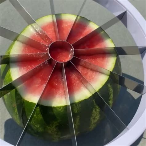 Micro Mystery (@micromystery1) • Instagram photos and videos