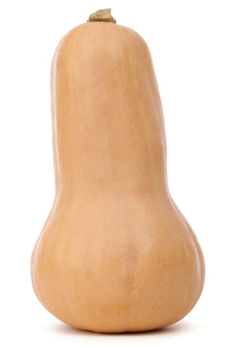 Isolated Butternut Squash Free Stock Photo - Public Domain Pictures