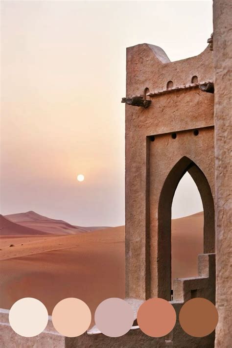 Desert Niight Color Pallete
