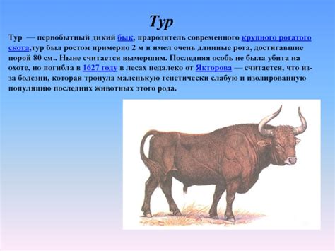 Навсегда исчезнувшие виды