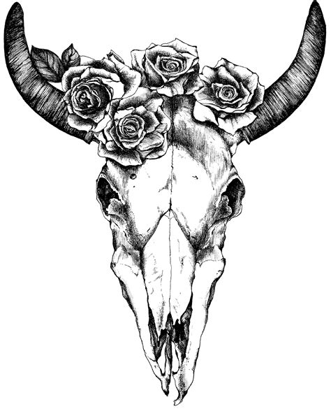 Cow Skull Drawing at GetDrawings | Free download
