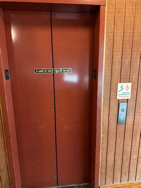 Goldens on the Square Review – Newnan Time with Harold