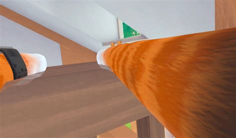 The Ultimate VR Cat Game That Lets You Become A Cat - I Am Cat VR ...
