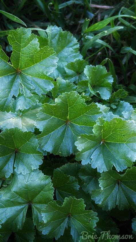 amatuer photography on Tumblr