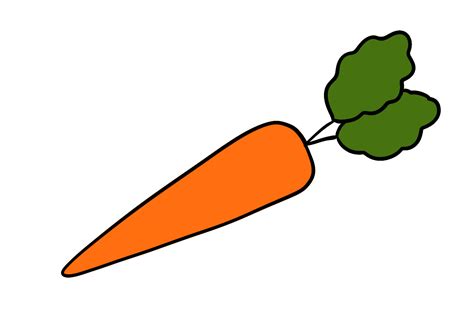 Carrot Drawing Aesthetic at Nancy Spradlin blog
