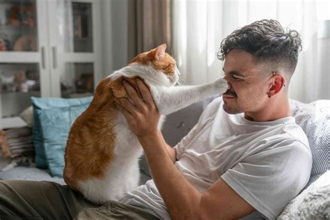 Why cats meow at humans more than each other