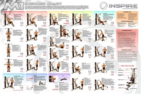 Inspire Fitness Downloads | Workout chart, Gym workout chart, Home gym ...