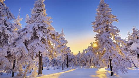Winter Wonderland Desktop Wallpapers - Top Free Winter Wonderland Desktop Backgrounds ...