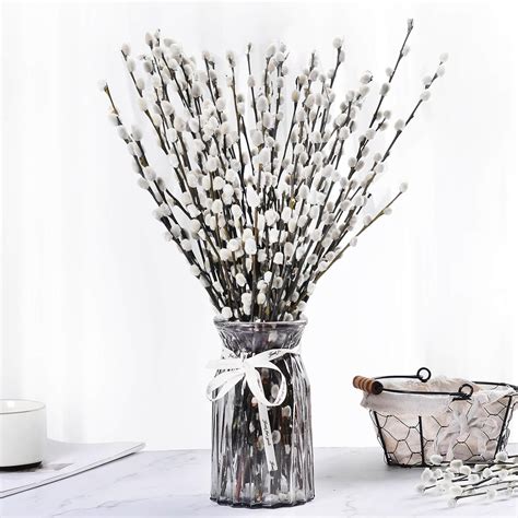 20 Stems Dried Pussywillow Preserved Greenery Branches 12 inch Snow ...