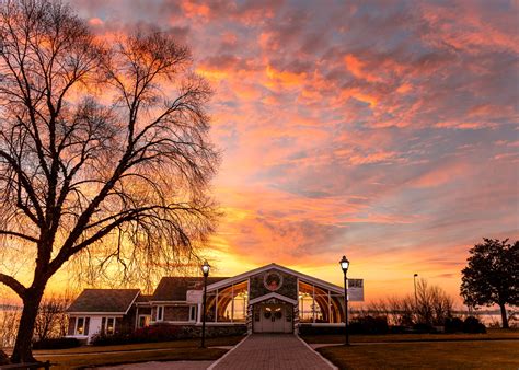 What Are the Differences in Amphetamine vs. Methamphetamine - Ashley