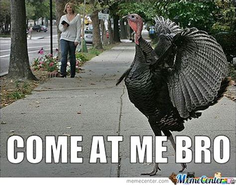 14 Thanksgiving Memes To Help You Survive The Holiday With Your Family