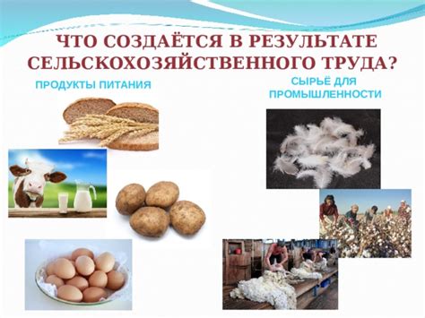 Урок . Сельскохозяйственный труд. Виды хозяйств