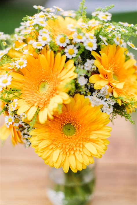 Yellow Gerber Daisy Bouquet