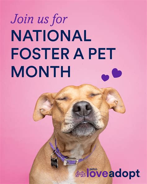 Crystal Quintero-Tewell on LinkedIn: National Foster a pet month ...
