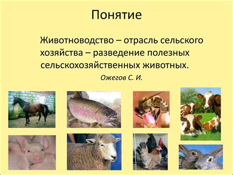 Животноводство. Окружающий мир. (3 класс) - презентация онлайн