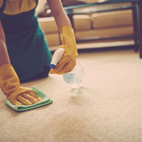 How to Disinfect Carpet the Right Way | Alsco Uniforms