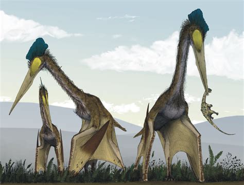 Giant Pterosaur Found In Utah Quarry Had 110 Teeth And Some Wicked Fangs!