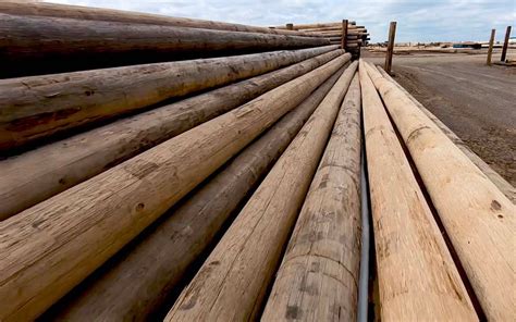 Anti-Cascade H-Class Utility Poles - Bell Lumber & Pole