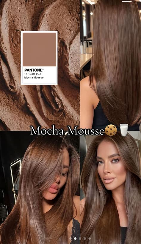Pin by Maria Jimena on Looks | Hair color chocolate, Mocha hair, Mocha ...