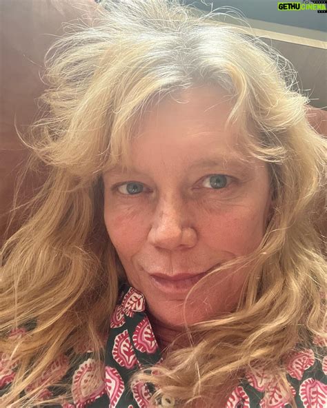 Peta Wilson Wiki, Biography, Age, Gallery, Spouse and more