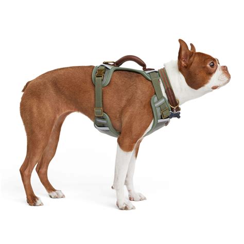 Reddy Reflective Camo Dog Harness | Canadian Tire